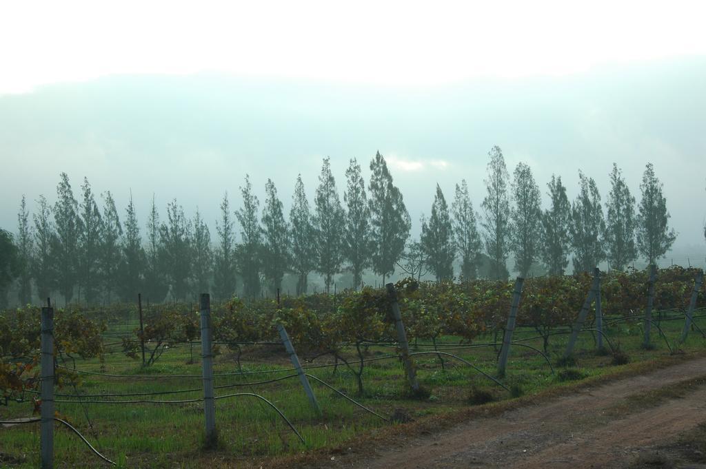 Village Farm And Winery Wang Nam Khiao Exteriér fotografie